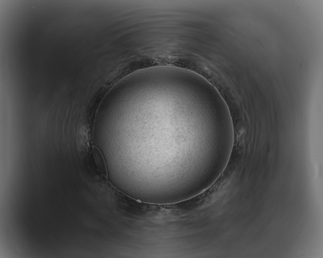 X0000089660772200706281320