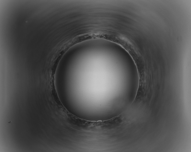 X0000089660773200706281320