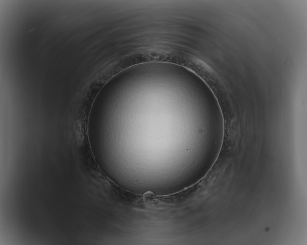 X0000089660774200706281320