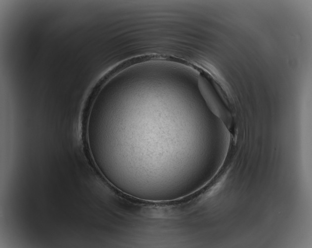 X0000089660780200706281320