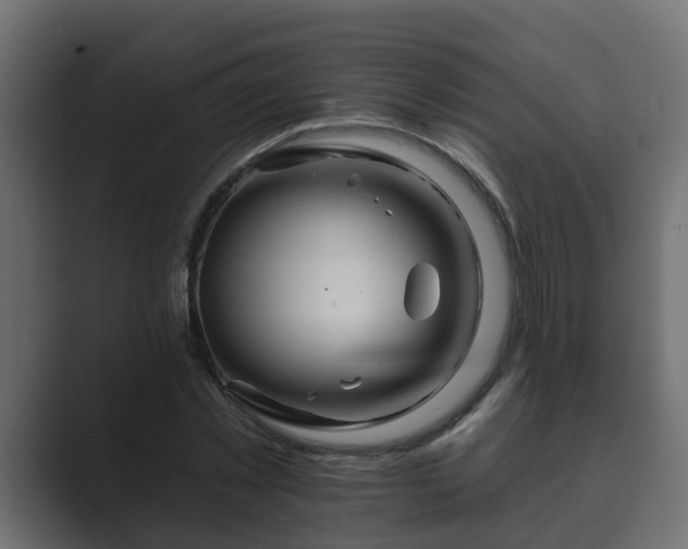 X0000089660781200706281320