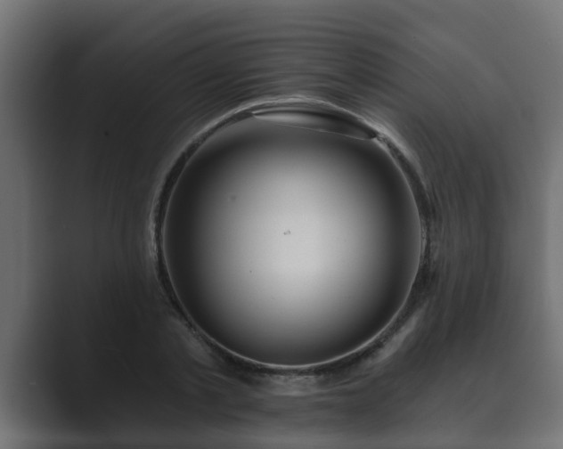 X0000089660789200706281320