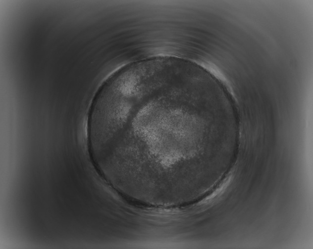 X0000089660790200706281320