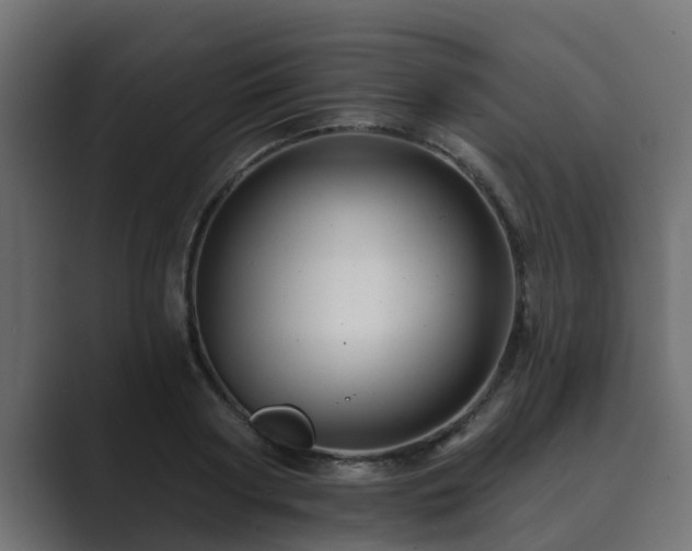 X0000089660794200706281320