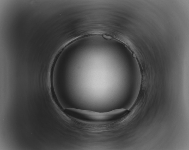 X0000089660795200706281320