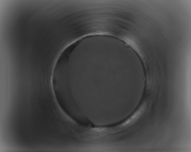 X0000089660797200706281320
