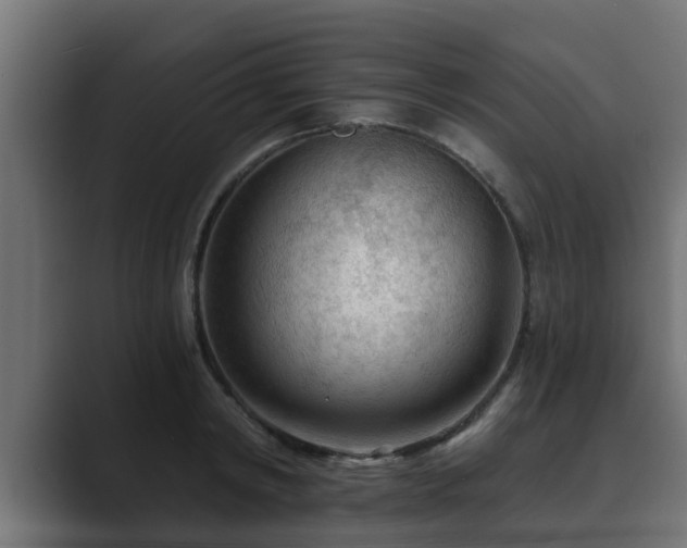 X0000089660798200706281320
