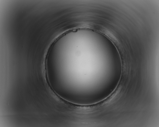 X0000089660800200706281320
