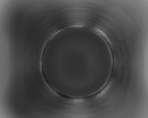 X0000089660802200706281320