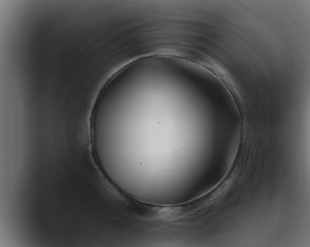 X0000089660808200706281320
