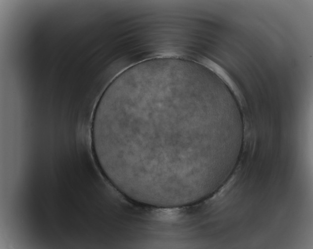 X0000089660810200706281320