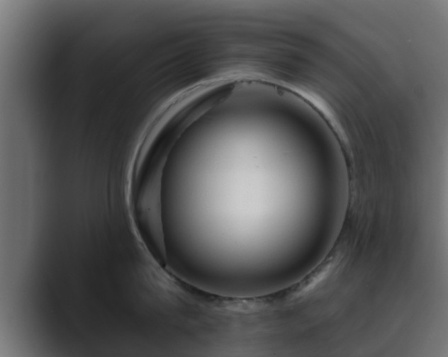 X0000089660815200706281320
