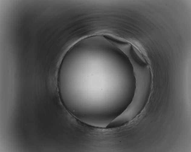 X0000089660816200706281320