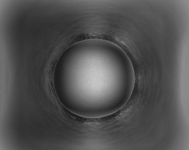 X0000089660817200706281319