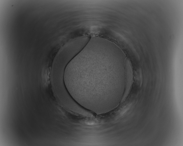 X0000089660818200706281319