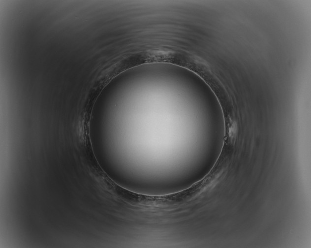 X0000089660819200706281319