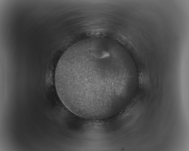 X0000089660820200706281319