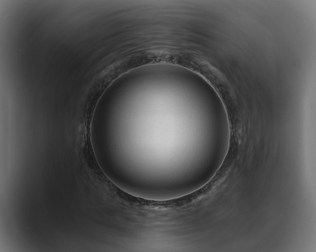 X0000089660821200706281319