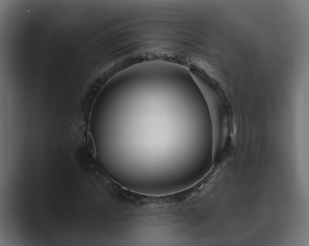 X0000089660822200706281319