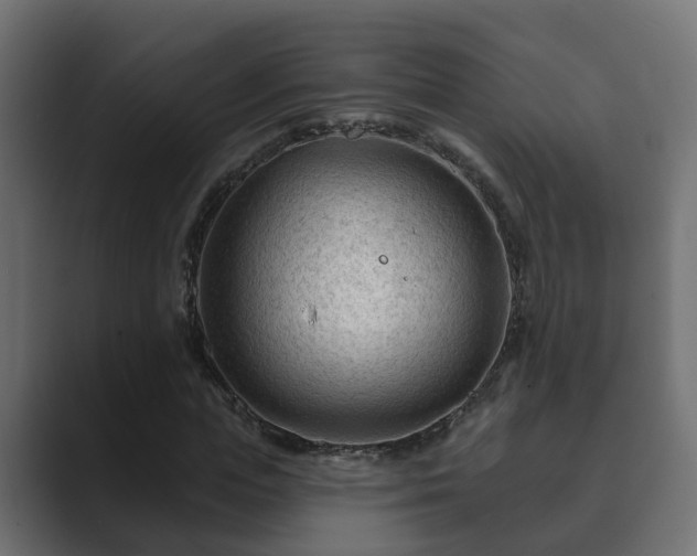X0000089660823200706281319