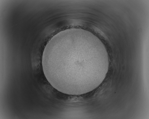 X0000089660824200706281319