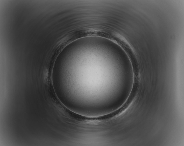 X0000089660825200706281319