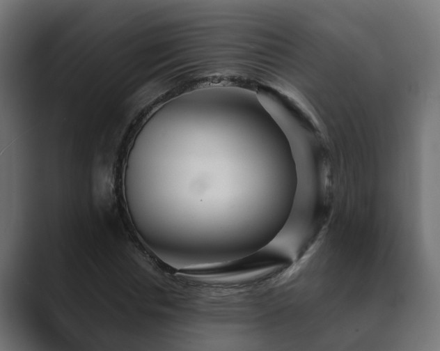 X0000089660826200706281319