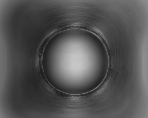 X0000089660827200706281319