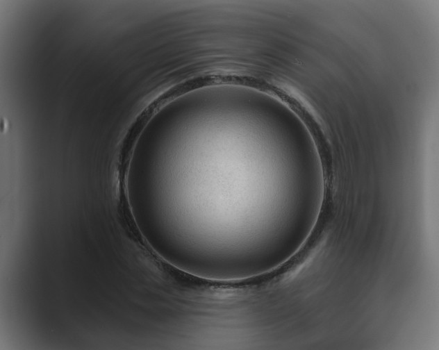 X0000089660829200706281319