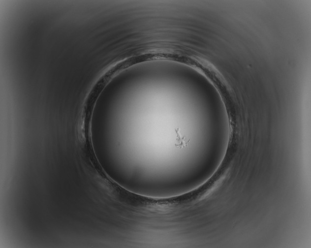X0000089660830200706281320