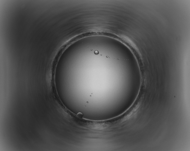 X0000089660831200706281320