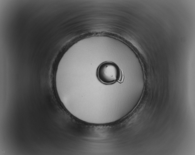 X0000089660832200706281320
