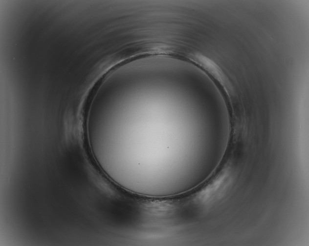 X0000089660835200706281320