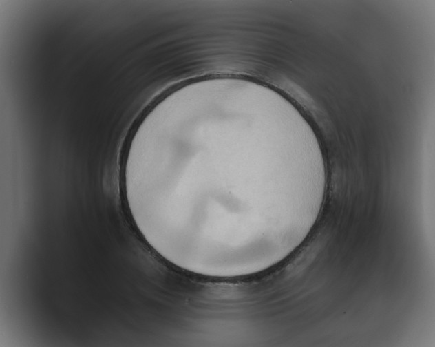 X0000089660836200706281320