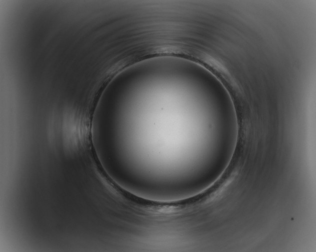 X0000089660841200706281320
