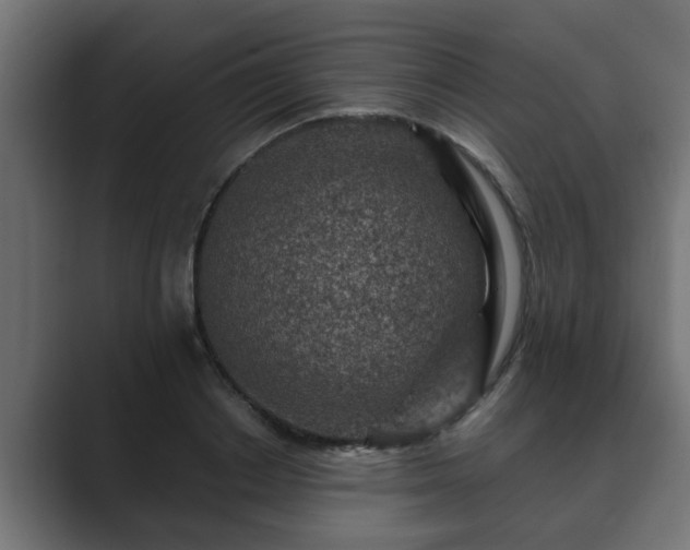 X0000089660842200706281320