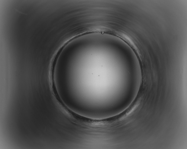 X0000089660843200706281320