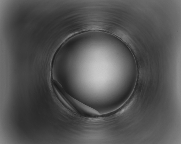 X0000089660844200706281320