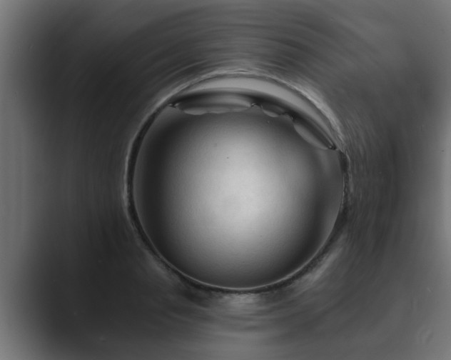 X0000089660845200706281320