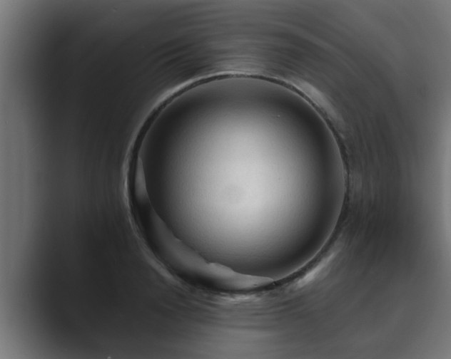 X0000089660846200706281320