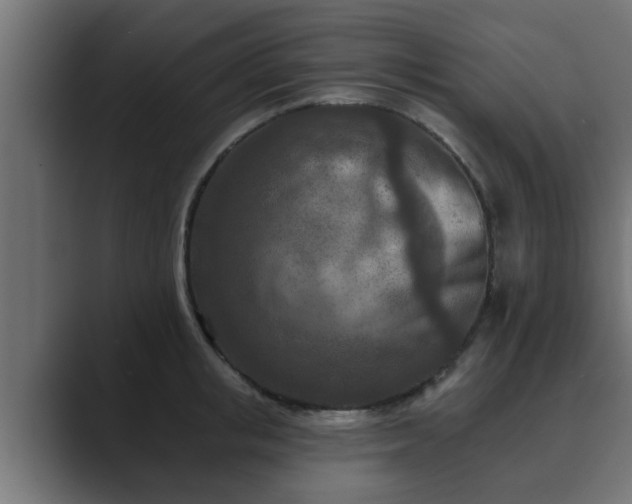 X0000089660853200706281320