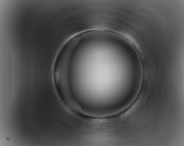 X0000089660854200706281320