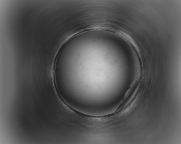 X0000089660855200706281320