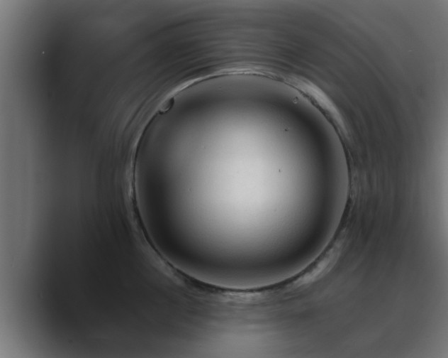X0000089660860200706281320