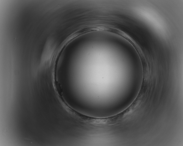 X0000089660861200706281320