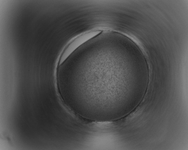 X0000089660864200706281320