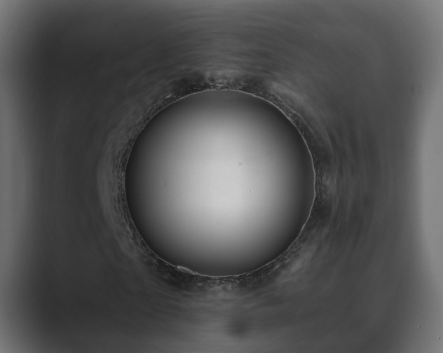 X0000089660865200706281319