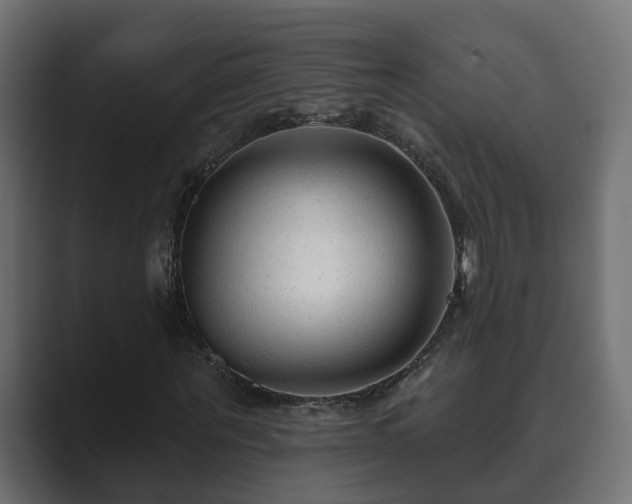 X0000089660867200706281319