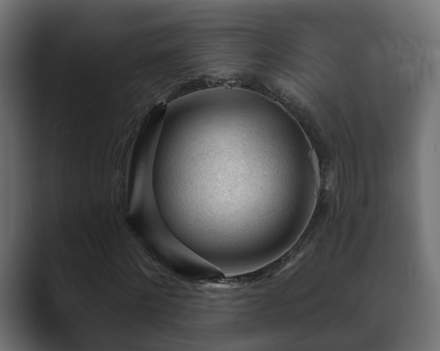 X0000089660868200706281319