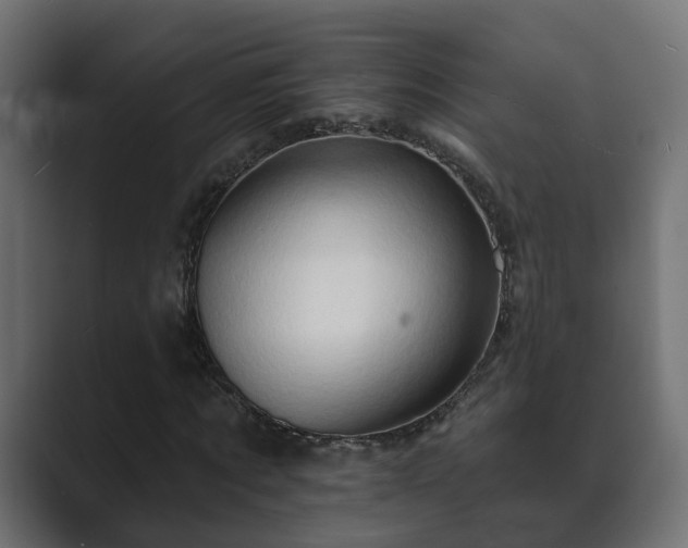 X0000089660869200706281319